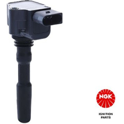 ritė, uždegimas
                                NGK                                                48887, NGK, 48887, auto 