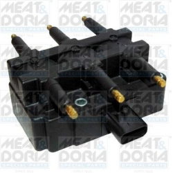 ritė, uždegimas
                                MEAT &amp; DORIA                                                10656, Nenu