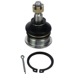 Šarnyras
                                DENCKERMANN                                                D110009, Nenurodytas gam