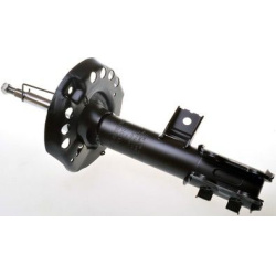 amortizatorius
                                DENCKERMANN                                                DSB103G, Nenurodyta