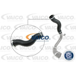 kompresoriaus padavimo žarna Original VAICO Quality
                                                V25-1030, Nenurodytas ga