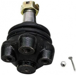 Šarnyras
                                DENCKERMANN                                                D110078, Nenurodytas gam