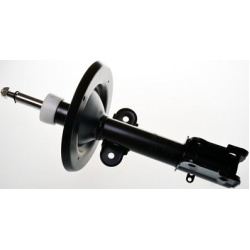 amortizatorius
                                DENCKERMANN                                                DSB055G, Nenurodyta