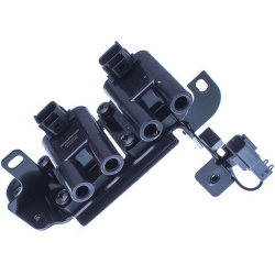 ritė, uždegimas
                                DENCKERMANN                                                E100085, Nenurod