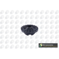 pakabos statramsčio atraminis guolis
                                BGA                                                SM01
