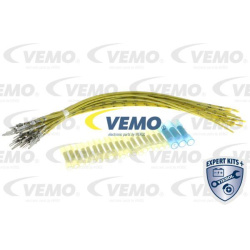 remonto rinkinys, diržas EXPERT KITS +
                                VEMO                                                V