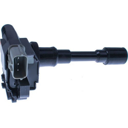 ritė, uždegimas
                                DENCKERMANN                                                E100015, Nenurod