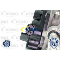 ERG modulis EXPERT KITS +
                                VEMO                                V10-63-0050, Nenurodytas gamint