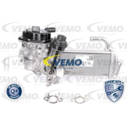 ERG modulis EXPERT KITS +
                                VEMO                                                V10-63-0050, Ne