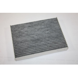 filtras, salono oras
                                AUTOMEGA                                                180003110, Nenur
