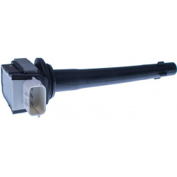 ritė, uždegimas
                                DENCKERMANN                                                E100074, Nenurod