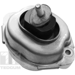 Variklio montavimas
                                TEDGUM                                                00088396, TEDGUM, 0