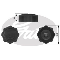 dangtelis, radiatorius
                                GATES                                RC229, GATES, RC229, auto detalė