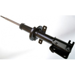 amortizatorius
                                DENCKERMANN                                                DSB084G, Nenurodyta