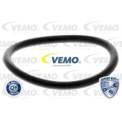 termostatas, aušinimo skystis EXPERT KITS +
                                VEMO                                V25-99-1736,
