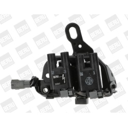 ritė, uždegimas
                                BorgWarner (BERU)                                                ZS541, Bor