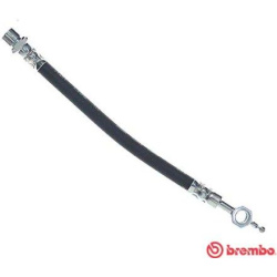 stabdžių žarnelė ESSENTIAL LINE
                                BREMBO                                T 83 117, BREMBO, T