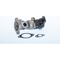 ERG vožtuvas
                                BorgWarner (Wahler)                                                710976R, Bor