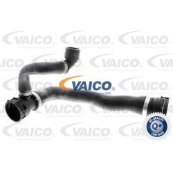 radiatoriaus žarna Q+, original equipment manufacturer quality
                                VAICO                        