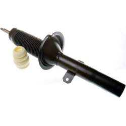 amortizatorius
                                DENCKERMANN                                DSB171G, Nenurodytas gamintojas, DS