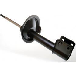 amortizatorius
                                DENCKERMANN                                                DSB100G, Nenurodyta