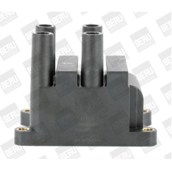 ritė, uždegimas
                                BorgWarner (BERU)                                                ZS556, Bor