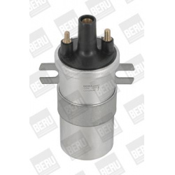 ritė, uždegimas
                                BorgWarner (BERU)                                                ZS566, Bor