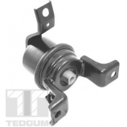 variklio montavimas
                                TEDGUM                                TED10622, TEDGUM, TED10622, auto de