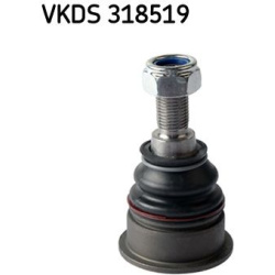 Šarnyras
                                SKF                                VKDS 318519, SKF, VKDS318519, auto detalė