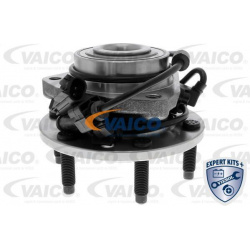 rato guolis EXPERT KITS +
                                VAICO                                                V33-0162, Nenu