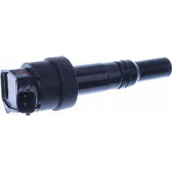 ritė, uždegimas
                                DENCKERMANN                                                E100091, Nenurod