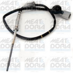 jutiklis, išmetamųjų dujų temperatūra
                                MEAT &amp; DORIA                                  