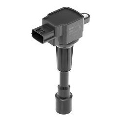 ritė, uždegimas
                                BorgWarner (BERU)                                                ZSE216, Bo