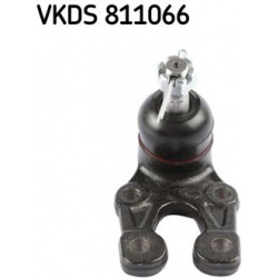 Šarnyras
                                SKF                                                VKDS811066, SKF, VKDS811066, aut
