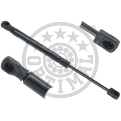 dujinė spyruoklė, bagažinė
                                OPTIMAL                                                AG-5021