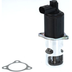 ERG vožtuvas
                                BorgWarner (Wahler)                                                710776D, Bor