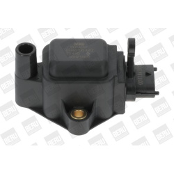 ritė, uždegimas
                                BorgWarner (BERU)                                                ZS440, Bor