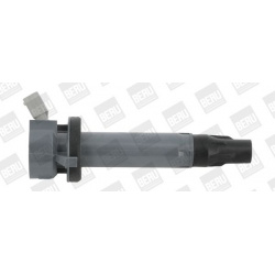 ritė, uždegimas
                                BorgWarner (BERU)                                                ZSE194, Bo