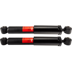 amortizatorius TRW TWIN
                                JHT224T, TRW, JHT224T, auto detalė