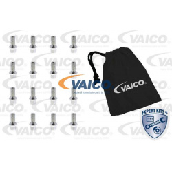 rato varžtas EXPERT KITS +
                                VAICO                                                V10-3211-16,