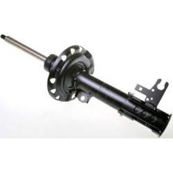 amortizatorius
                                DENCKERMANN                                DSB114G, Nenurodytas gamintojas, DS