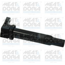 ritė, uždegimas
                                MEAT &amp; DORIA                                                10601, Nenu