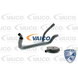 remonto komplektas, variklio karterio alsuoklis EXPERT KITS +
VAICO