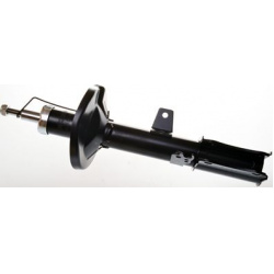 amortizatorius
                                DENCKERMANN                                DSB252G, Nenurodytas gamintojas, DS