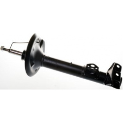 amortizatorius
                                DENCKERMANN                                                DSB077G, Nenurodyta