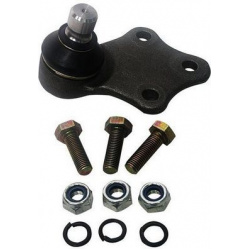 Šarnyras
                                DENCKERMANN                                                D110168, Nenurodytas gam