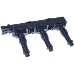 ritė, uždegimas
                                DENCKERMANN                                                E100036, Nenurod