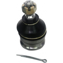 Šarnyras
                                DENCKERMANN                                                D110066, Nenurodytas gam