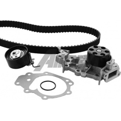 vandens siurblio ir paskirstymo diržo komplektas
                                AIRTEX                                     