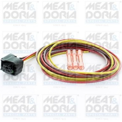 remonto rinkinys, diržas
                                MEAT &amp; DORIA                                                251